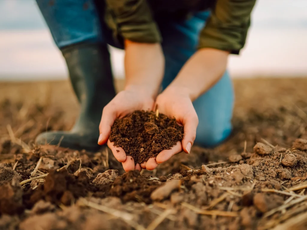 Finde Deinen Nützling