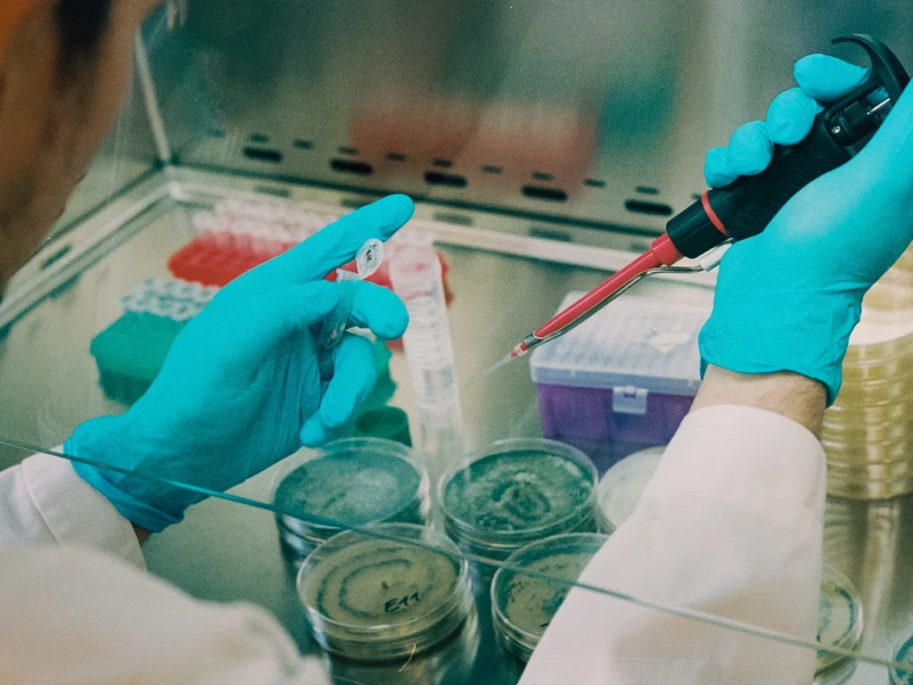 Holzschadpilz Analyse · Echter Hausschwamm