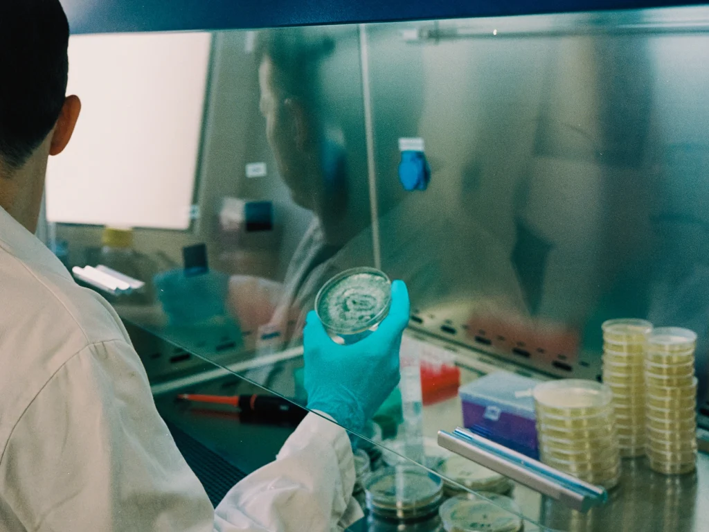 Schadpilz Analyse · Pilzzucht